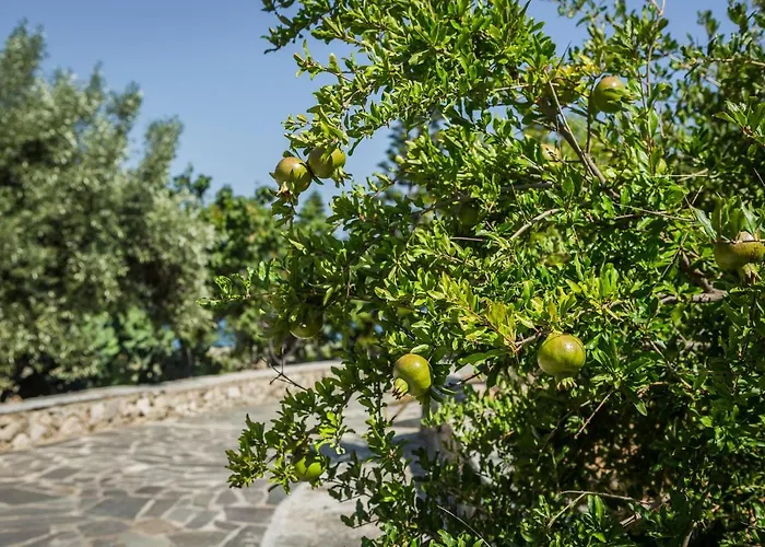 Vakantiehuis Ploes Luxury Pesádha